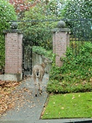 24th Oct 2023 - Visitor at the Gate