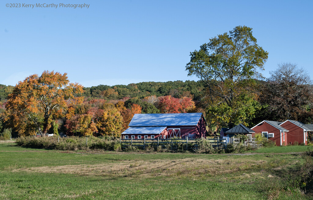 Autumn in CT by mccarth1
