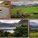 Lake District, England by 365projectorgchristine