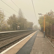 25th Oct 2023 - Misty, murky morning