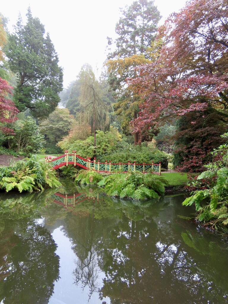 Autumn colours at Biddulph Grange Garden by orchid99