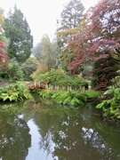 25th Oct 2023 - Autumn colours at Biddulph Grange Garden