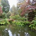 Autumn colours at Biddulph Grange Garden by orchid99