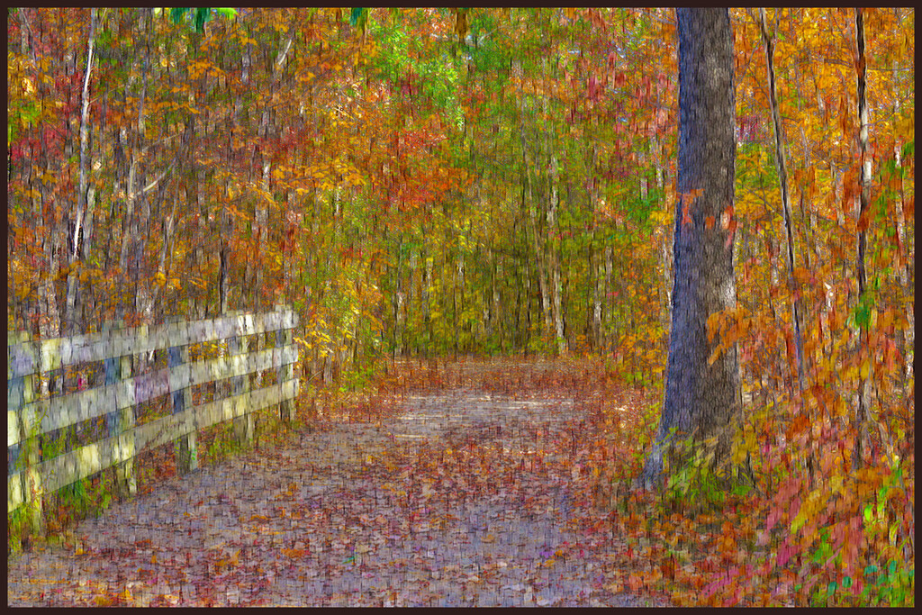 Autumn Woodland Path by gardencat