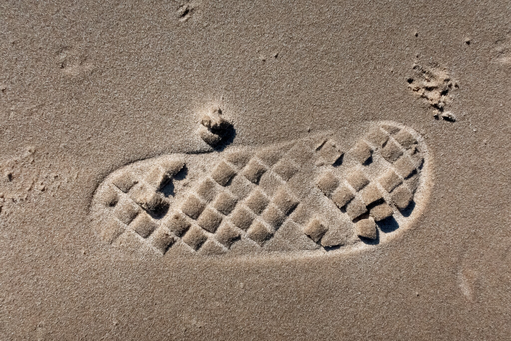 Footprint in the sand by bobbic