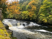 25th Oct 2023 - Dundaff Linn on the river Clyde.