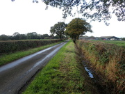 22nd Oct 2023 - The value of drainage ditches