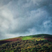View of the hills on my lunchtime walk by andyharrisonphotos