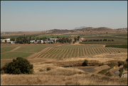 18th Sep 2023 - At the border between Israel and Syria