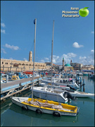 3rd Sep 2023 - Acco Marina, Israel