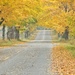 Autumn road by edorreandresen