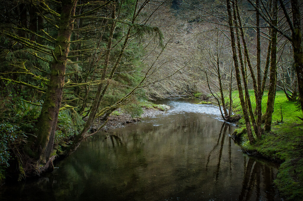 Cape Creek ~ Heceta Head, Oregon by 365projectorgbilllaing