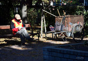 16th Oct 2023 - Autumn in the park.....