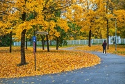 26th Oct 2023 - Yellow park