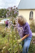 26th Oct 2023 - Purple flowers, purple gardener