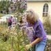 Purple flowers, purple gardener by tunia