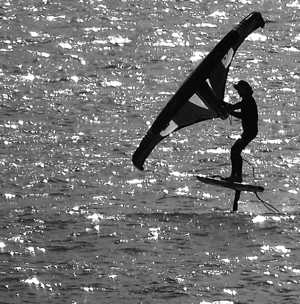 Windsurfer up on the foil , a great day water so sparkly by Dawn