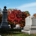 Autumnal cemetery-2 by darchibald