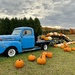 pumpkin display by amyk