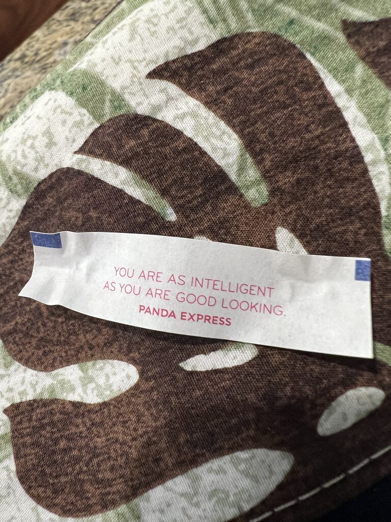 Today's Fortune by peekysweets