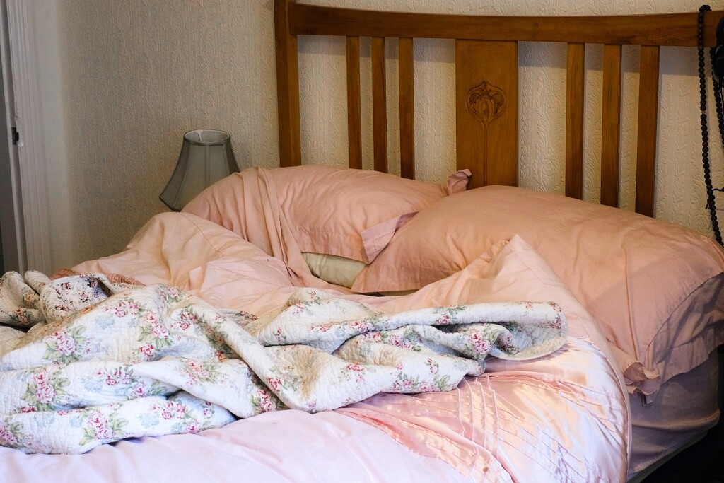 Alfie Greyhound copies Tracey Emin's Bed by allsop