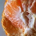 All tangerines are mandarins but not all mandarins are tangerines.  by johnfalconer