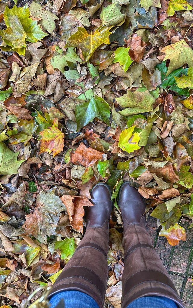 These boots are made for walking  by wendystout