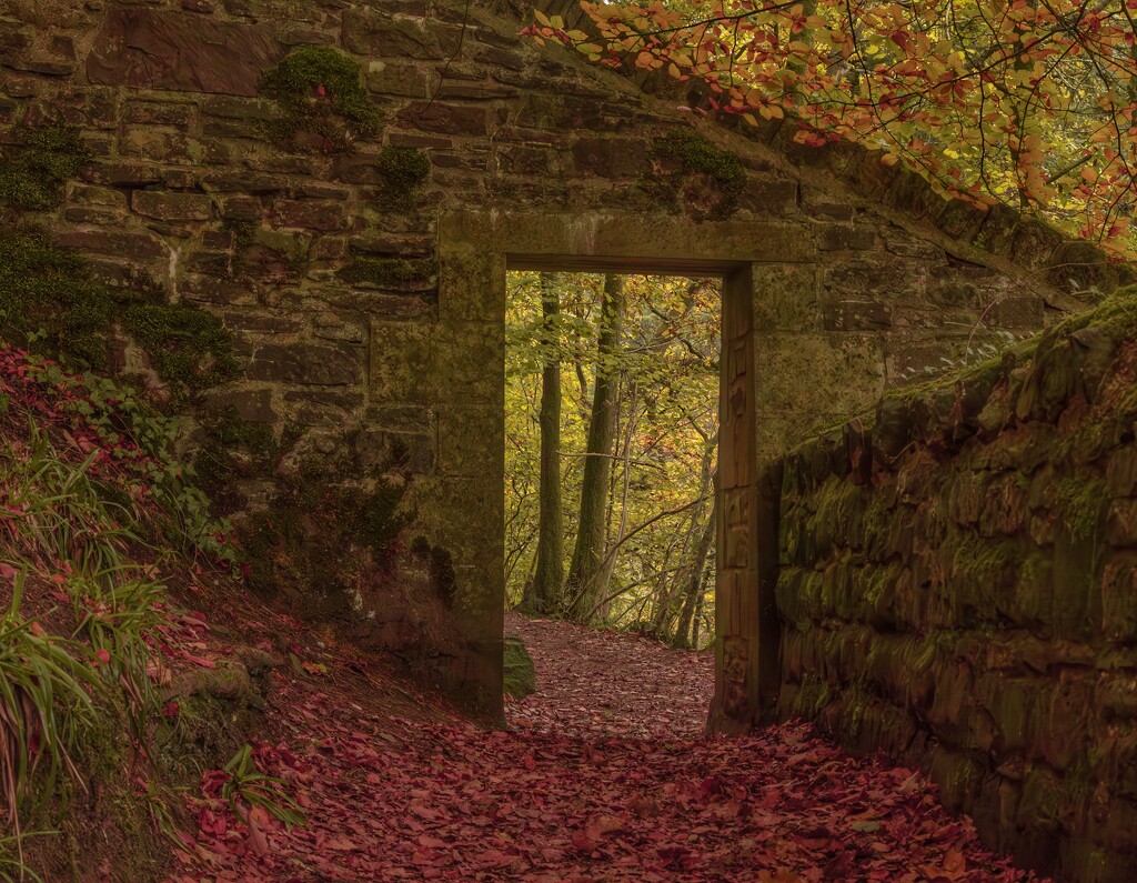 Autumnal gateway. by billdavidson