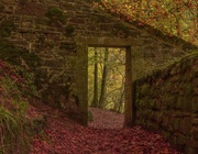 27th Oct 2023 - Autumnal gateway.