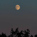 Hunter's Moon Oct 2023 by theredcamera