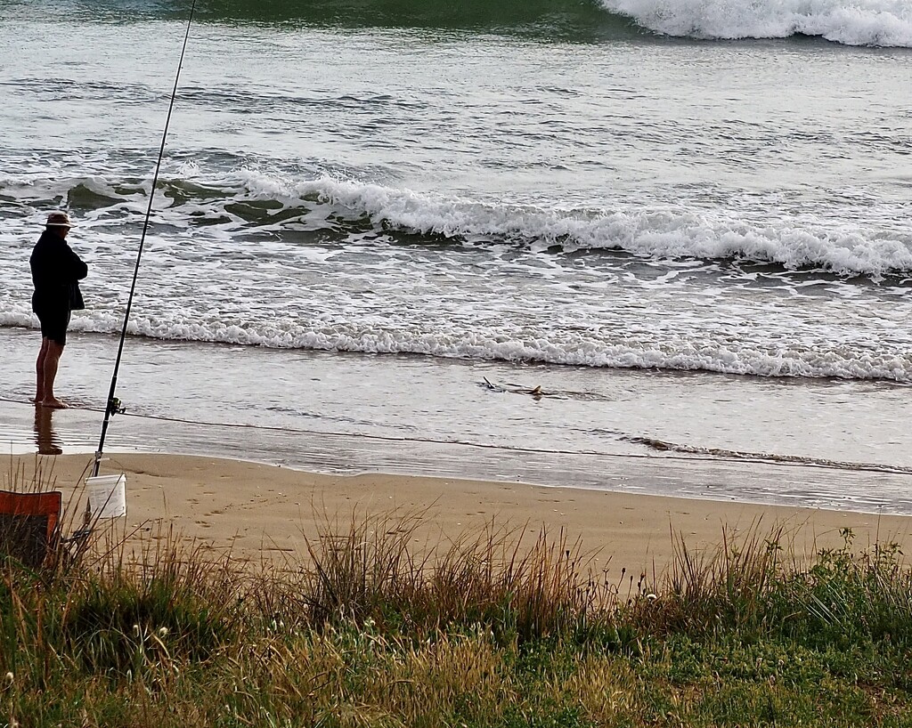 Himself surfcasting however if you look closely you can see a shark about 1 m in length in very shallow waters . by Dawn