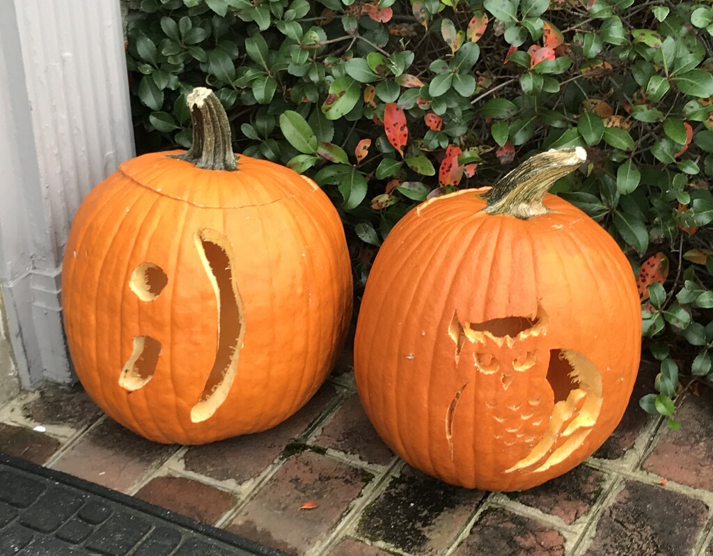 Pumpkin Craft for Different Levels by allie912