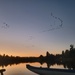 Geese Headed to Bed by kimmer50