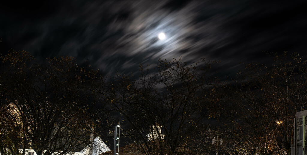 Moon light by darchibald