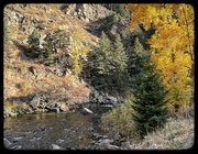 27th Oct 2023 - Clear Water Creek in Golden Colorado