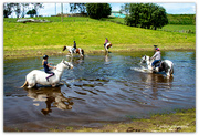 28th Oct 2023 - Equine Hydro Pool..