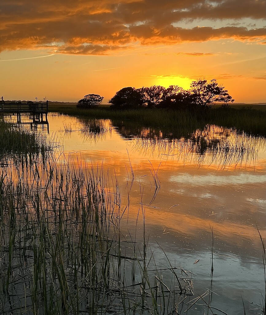 Golden orange reflections at high tide during another beautiful sunset over the marsh.  This is the view from my brother’s back yard and dock by congaree