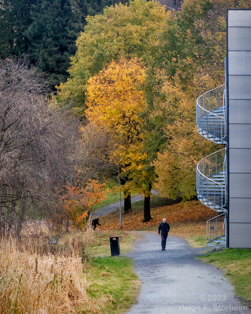 Autumn walk by helstor365