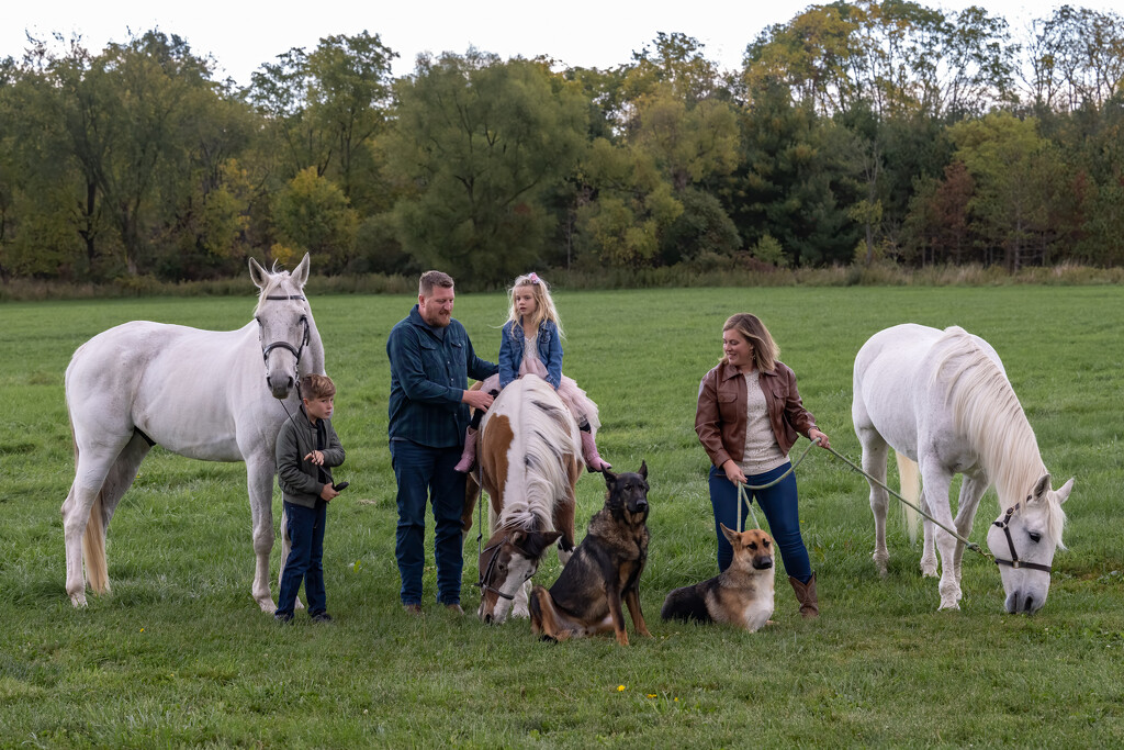 4 humans, 3 horses, & 2 dogs by dridsdale