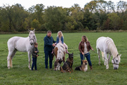 8th Oct 2023 - 4 humans, 3 horses, & 2 dogs