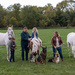 4 humans, 3 horses, & 2 dogs by dridsdale
