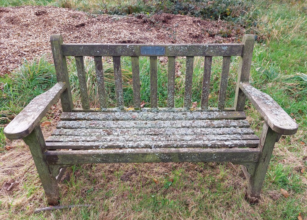 Lichen covered bench, Mersehead  by samcat