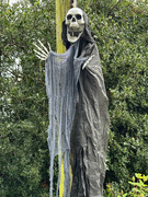 28th Oct 2023 - Dementor (one for Harry Potter Fans)