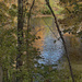Lake view fall colors artistic by larrysphotos
