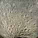 Craters.  by cocobella