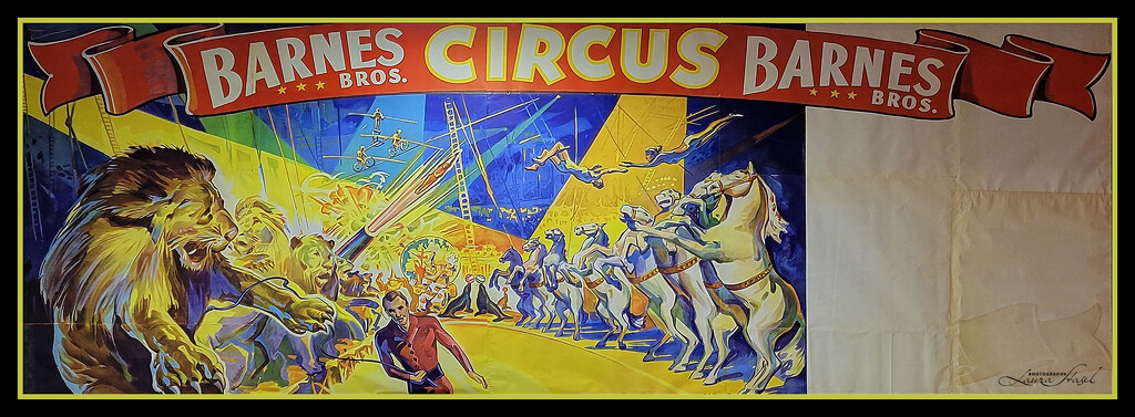 Circus by lstasel