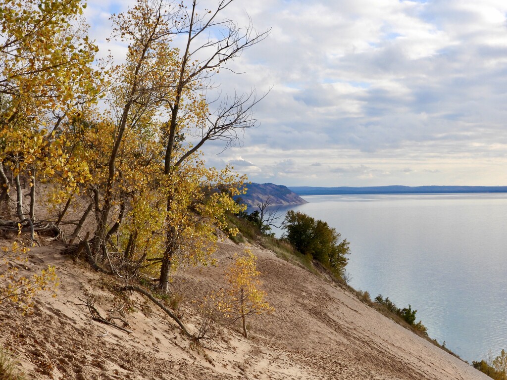 autumn at the dunes by amyk