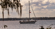 28th Oct 2023 - Sailboat Going down the River!