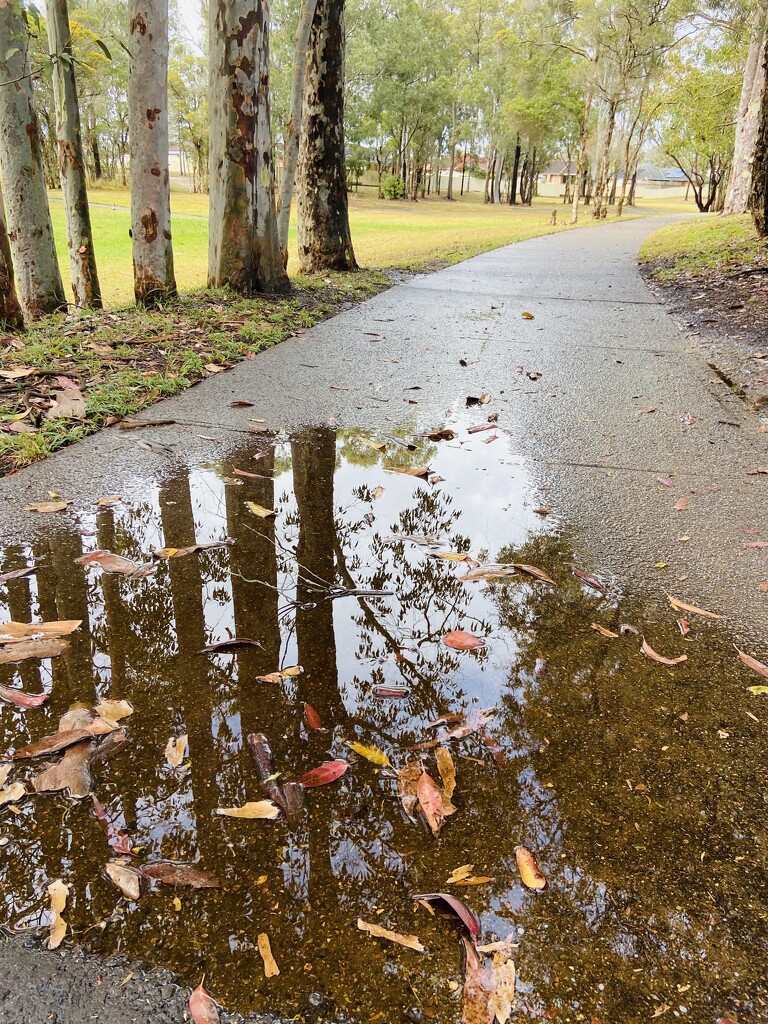 Rainy Walk Moments by sarahabrahamse