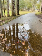 27th Oct 2023 - Rainy Walk Moments